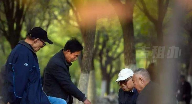 社区养老,居家养老,养老产业